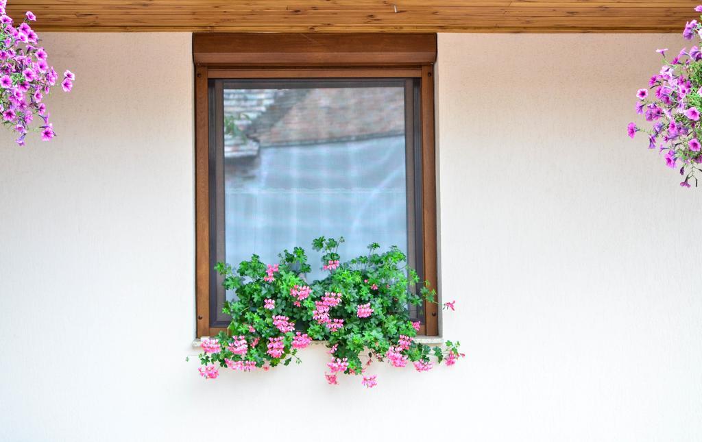 Páva Apartmanház Makó Exterior foto
